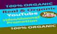 shoutout USA youtube music promotion, 800k organic subscriber, 1 million views