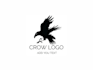 do crow logo design