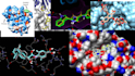 do molecular docking studies for research article, drug discovery