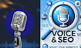 provide voice SEO and optimization services for any website