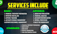 provide professional bookkeeping and accounting services