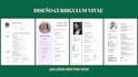 create and desing a professional curriculum