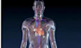 3d vfx medical animation dental animation 3d explainer video surgery animation