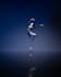 teach you ballet online