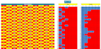 develop custom excel macro and vba code for you