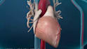 do 3d medical animation anatomy biotech scientific moa pharma 3d explainer video