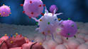 create 3d medical video cancer treatment moa immunotherapy pharma animation