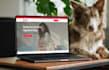 revamp and redesign wordpress website and création de site web