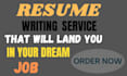 professionally revamp your resume or cv