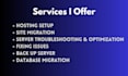 do website hosting setup and migration, seamless server transfers