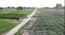 shoot and edit 4k drone videos