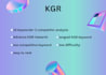 do kgr keyword research