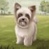 draw pet portrait or pet illustration
