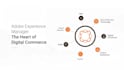 develop and customize aem pages, components, and fix bugs