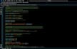 provide expert python programming, ai model development, and scripting solutions
