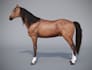 design 3d character, animal modeling, and 3d pet modeling