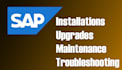expert sap basis, system, and suse admin