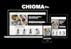 expert shopify website developer for theme customization, shopify store design