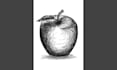 draw black and white object illustration