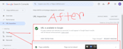 setup XML sitemap and robots txt in your website