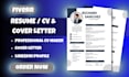professional CV resume writer ats friendly CV for job