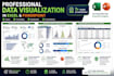 do charting, formatting and professional data visualizations in excel and PPT