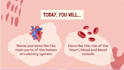teach elementary, middle and highschool students biology