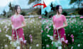 upscale, enhance and expertly colorize images, photos for stunning results