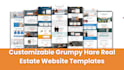 design grumpy hare real estate website with SEO and blogs