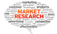 do extensive market research, feasibility study, and business plans