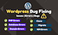 fix wordpress bugs, errors, responsive issues, and broken websites