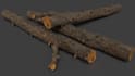 do photogrammetry and develop 3d models point cloud