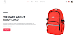 develop lightning fast responsive mern stack websites