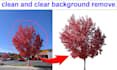 remove tree background from image in just 5 dollar