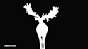 do rotoscoping, vfx, chroma keying and cleanup professionally