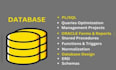 do professional database design, sql queries with er and schema diagrams