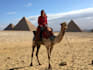 plan the best trip of your life