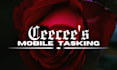 create web designs for individuals or business sales