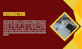 do financial planning and analysis, budgeting and forecasting