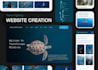 create modern and responsive wordpress website with SEO