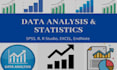 do statistical data analysis in spss and excel