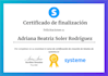 audit and optimize your existing systeme io funnel to convert