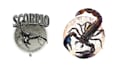 do high quality scorpion branding logo design