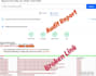 fix broken links, 404 error, 301 redirect,schema markup,and all technical error
