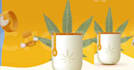 3d animated webflow 3d animated webflow 3d animated website 3d animated website