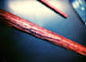 send you a wooden, handcrafted magic wand