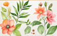 create a botanical watercolor illustration, floral drawing