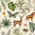 draw animal and botanical illustration