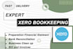 do accounting and bookkeeping using xero