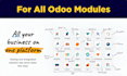 customize odoo erp for your business workflow